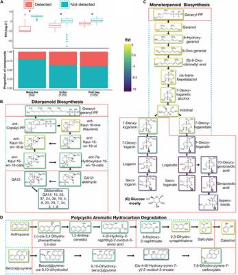 The Volatilome: A Vital Piece of the Complete Soil Metabolome